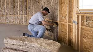 Best Eco-Friendly or Green Insulation Solutions  in Chuluota, FL